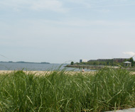 Local Dorchester Information