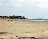 Local Gloucester information and business guide