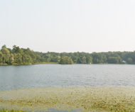 Local Billerica Information