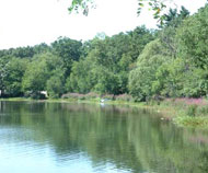 Local Wilmington Information to the town