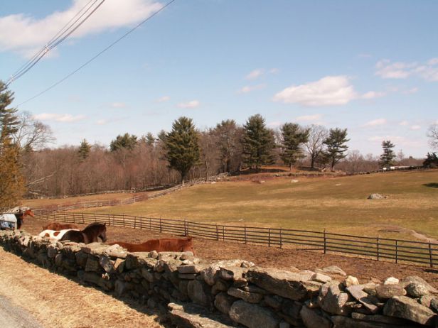 Berlin Ma